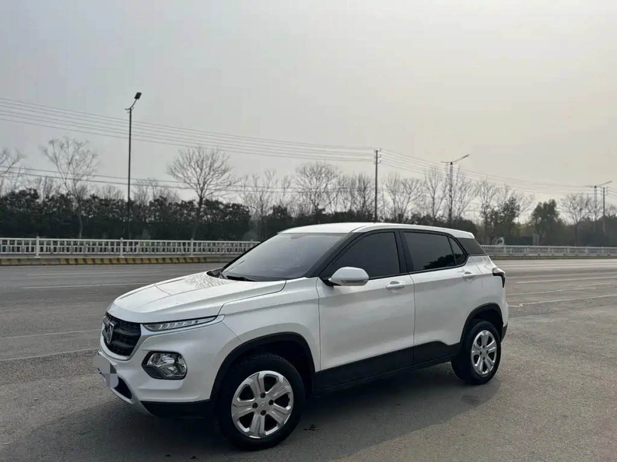 BAOJUN 510  2021