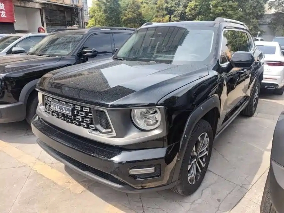 HAVAL DAGOU II  2023