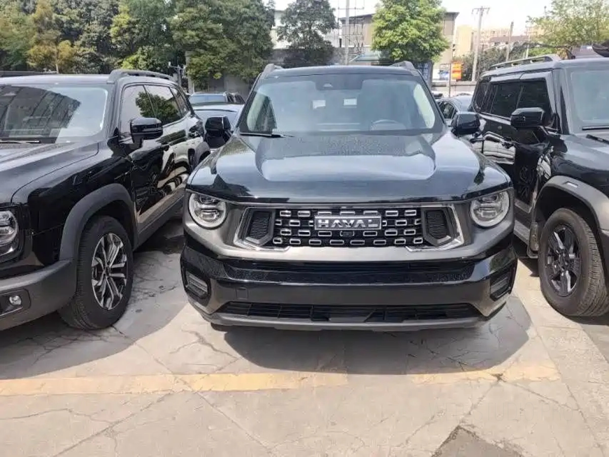 HAVAL DAGOU II