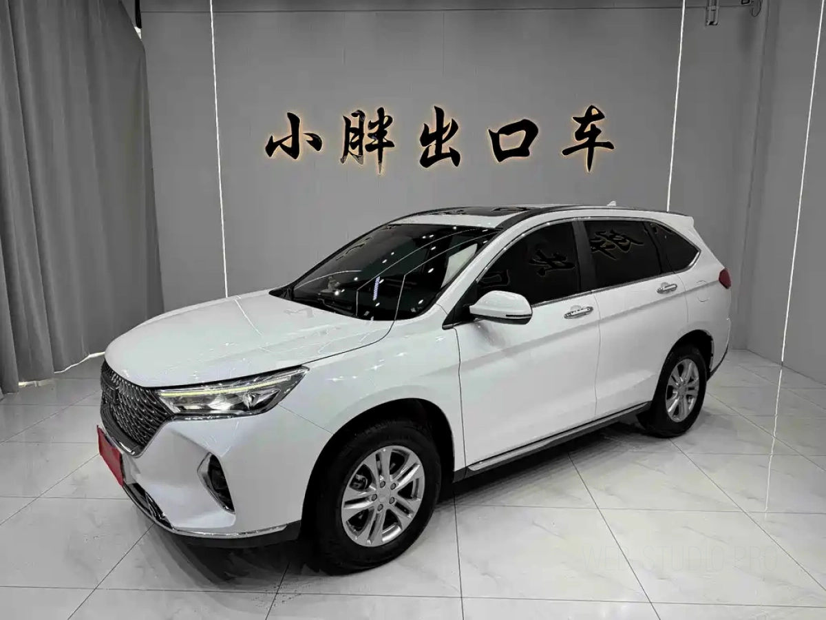 HAVAL M6  2022