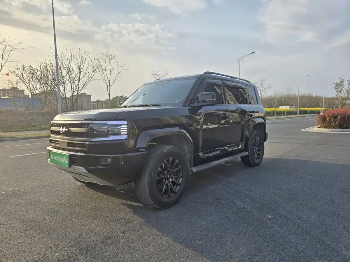 BYD FANGCHENG BAO 5  2025