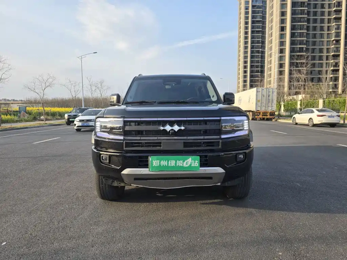 BYD FANGCHENG BAO 5