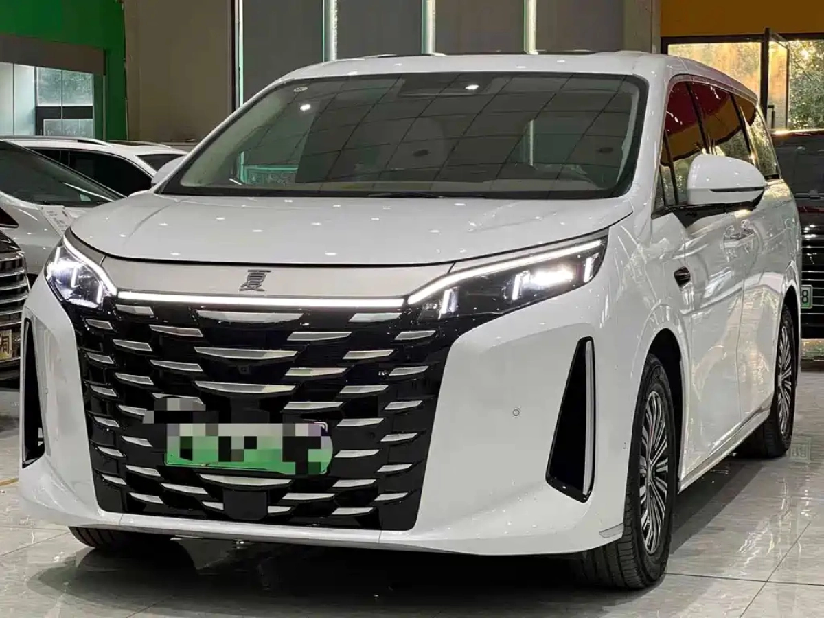 BYD XIA  2025