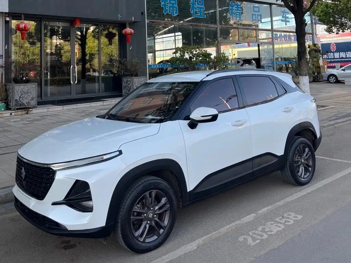 BAOJUN RS-3  2020
