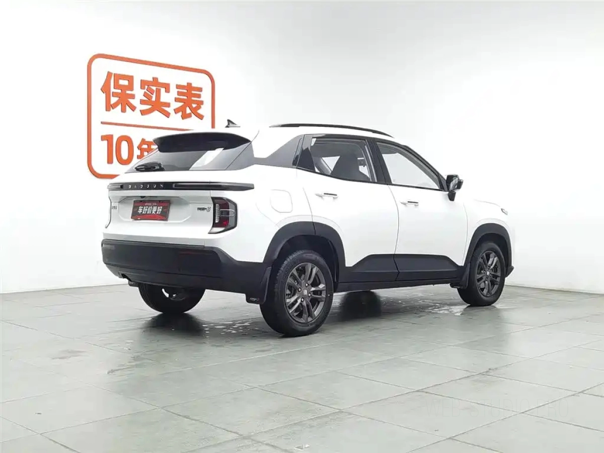 BAOJUN RS-3