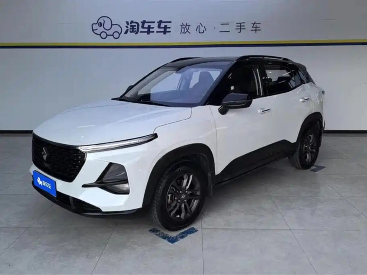 BAOJUN RS-3  2019