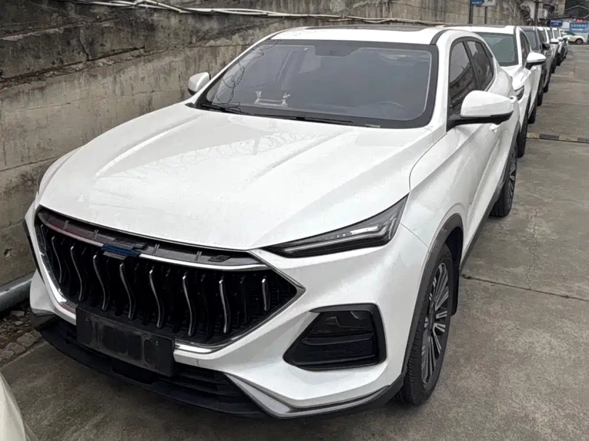 CHANGAN OSHAN X5  2021