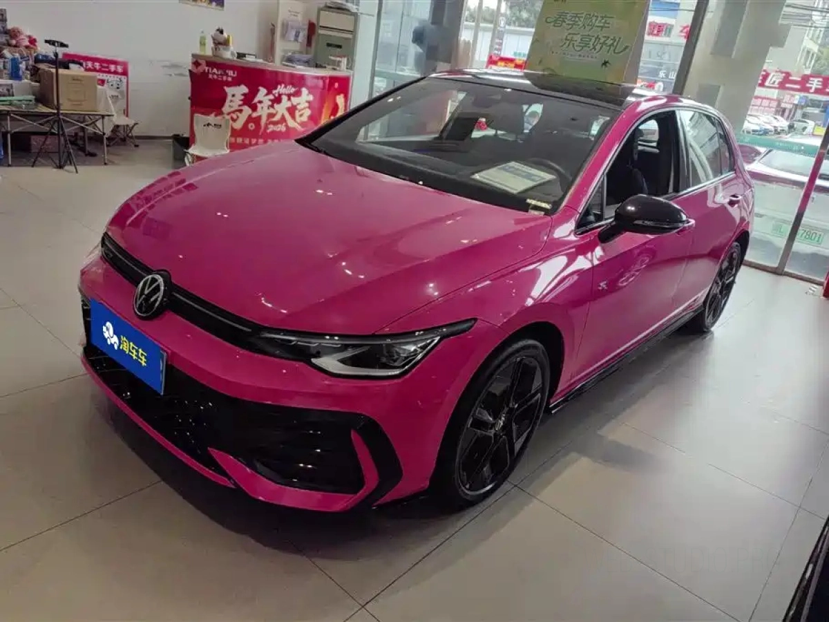 VOLKSWAGEN GOLF  2024