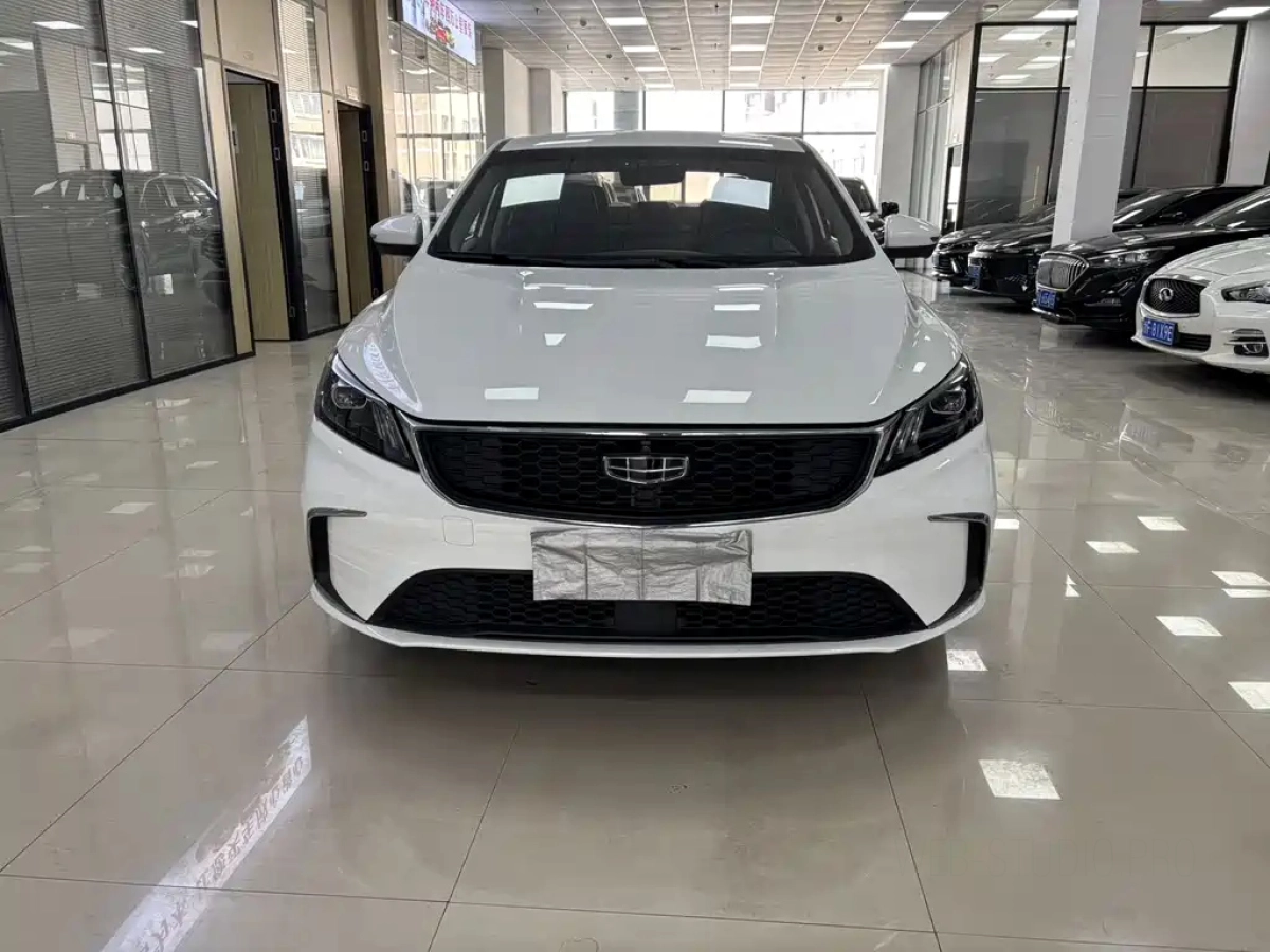 GEELY AUTO BINRUI