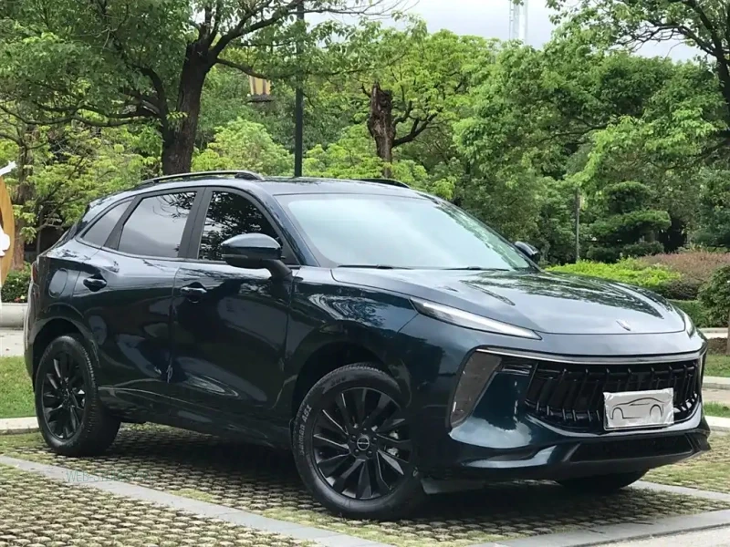 DONGFENG FORTHING T5 EVO