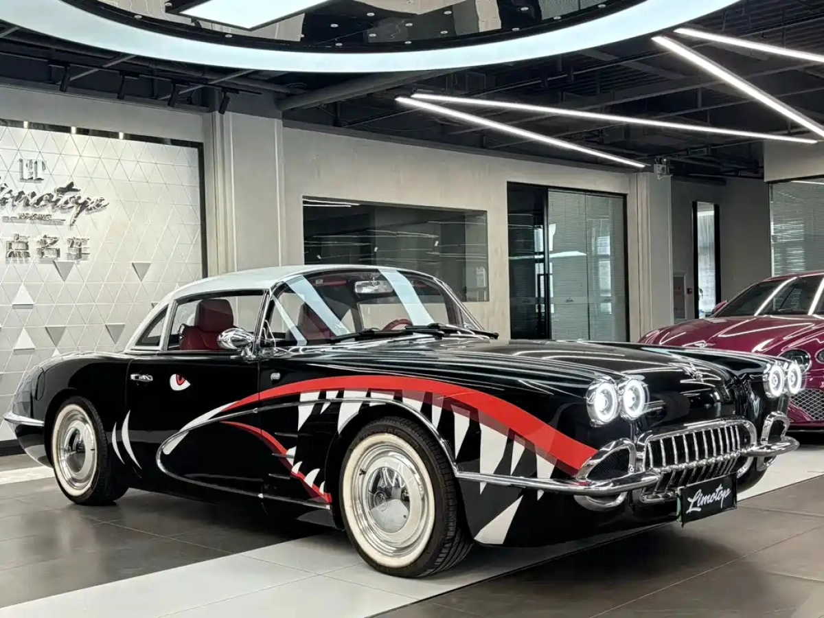 OTHER SS DOLPHIN  2023