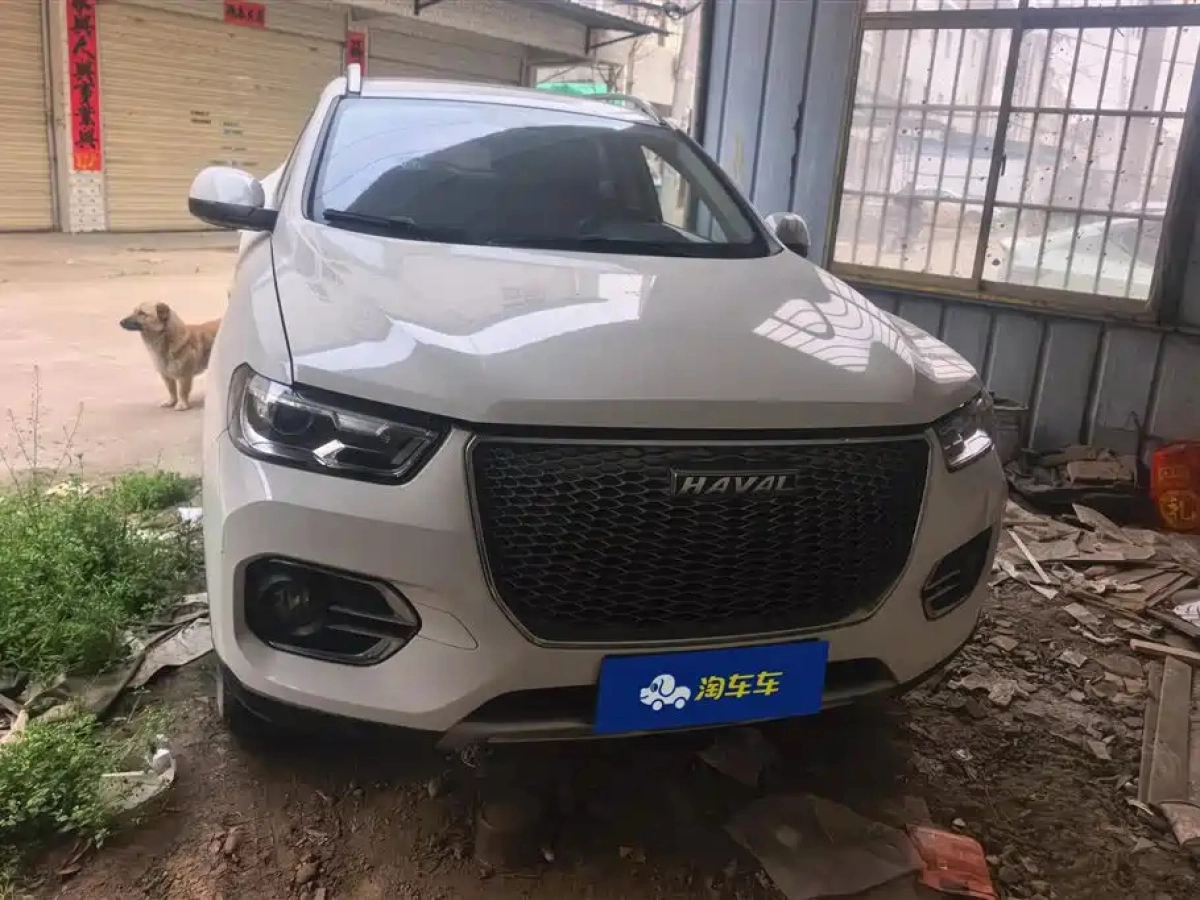 HAVAL H2S