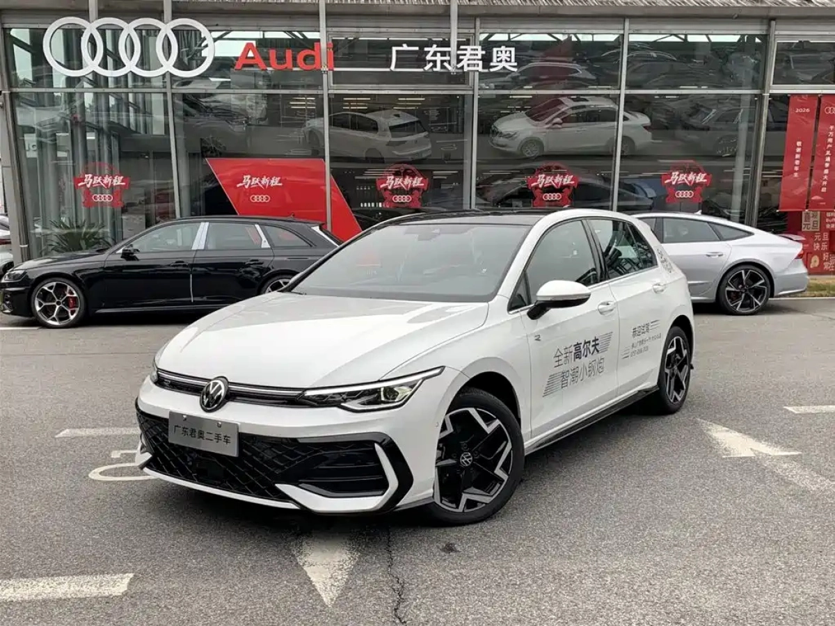 VOLKSWAGEN GOLF  2024