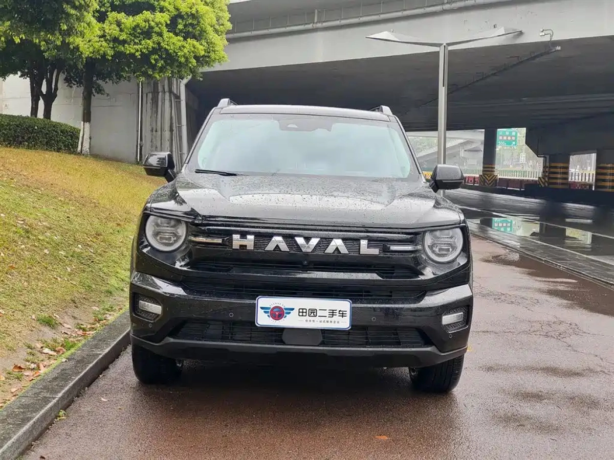 HAVAL DAGOU II
