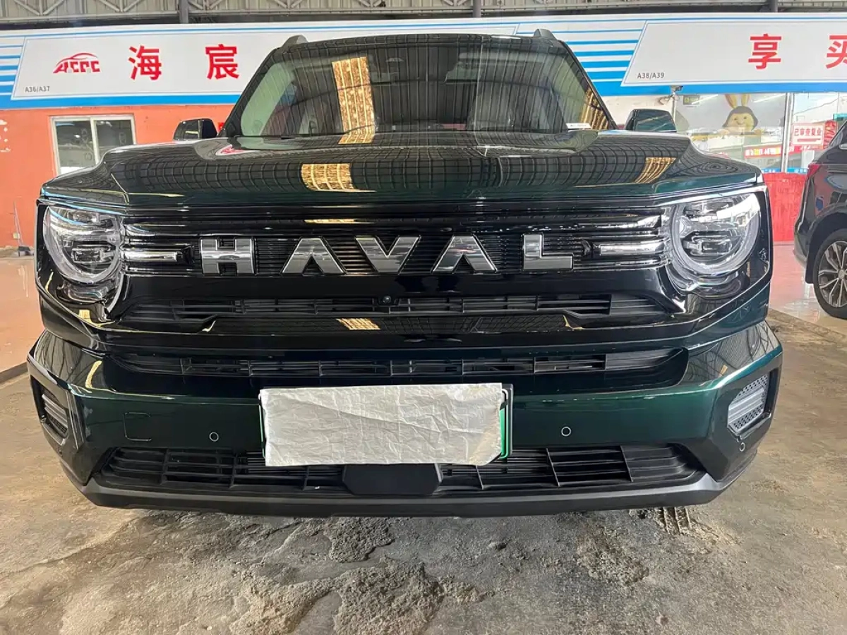 HAVAL DAGOU II NEW ENERGY