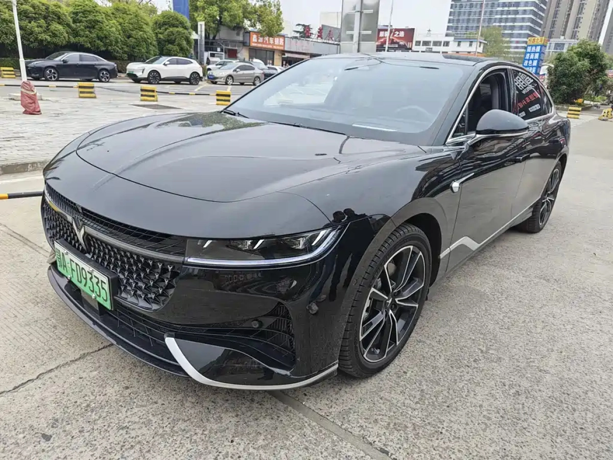 VOYAH ZHUIGUANG  2024