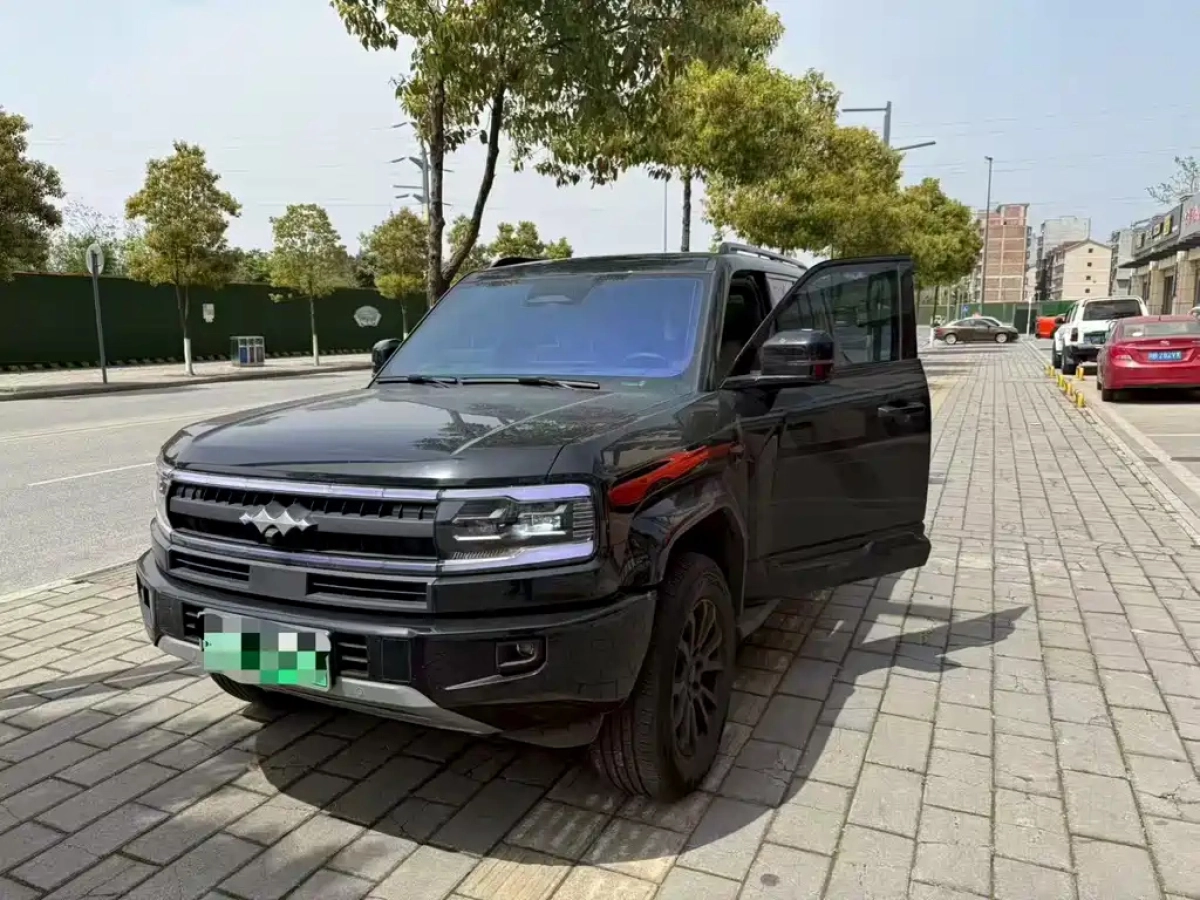 BYD FANGCHENG BAO 5  2025