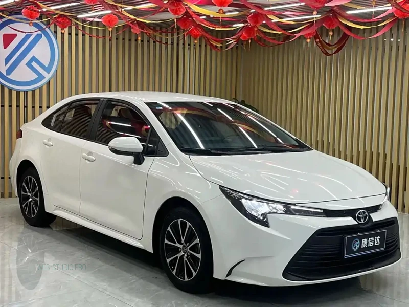TOYOTA RALINK