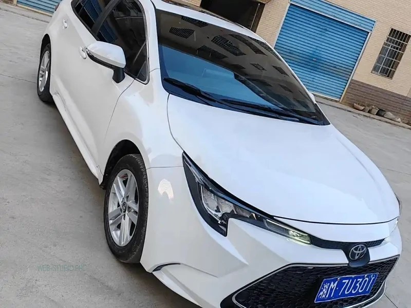 TOYOTA RALINK