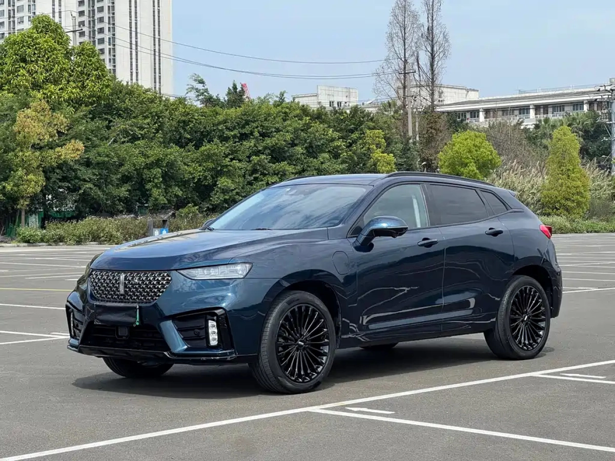 WEY VV7 NEW ENERGY  2020