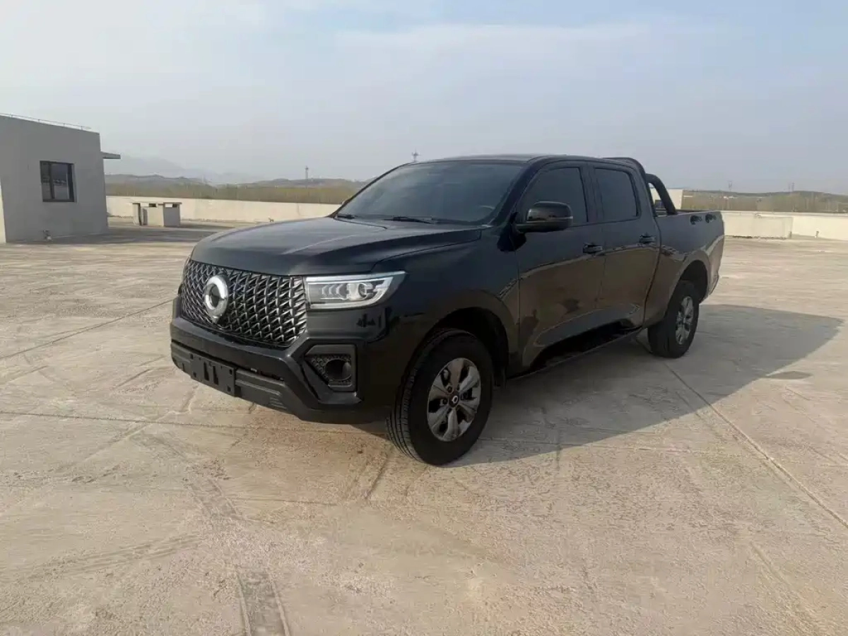 GREAT WALL POER  2024