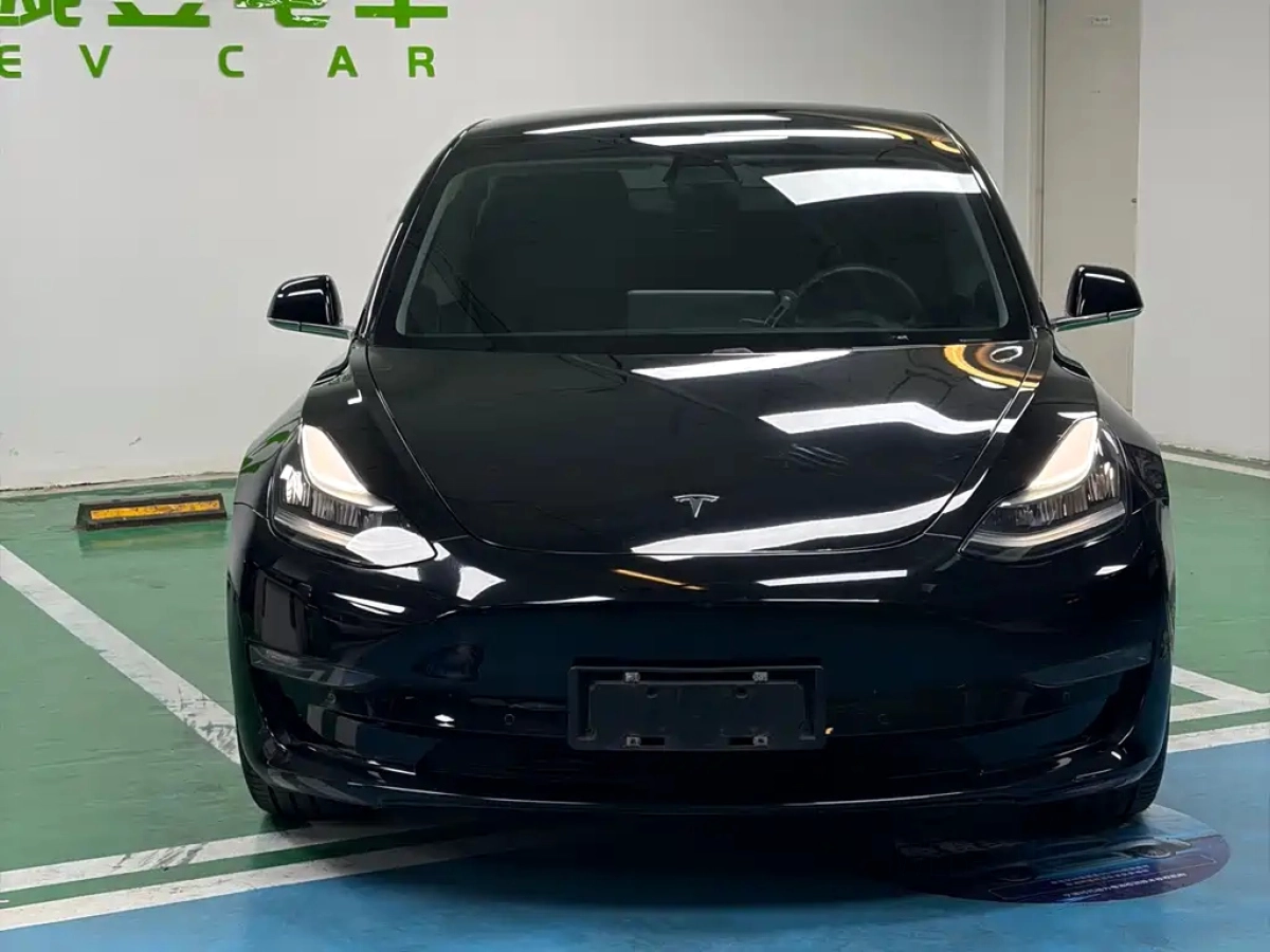 TESLA MODEL 3 IMPORT