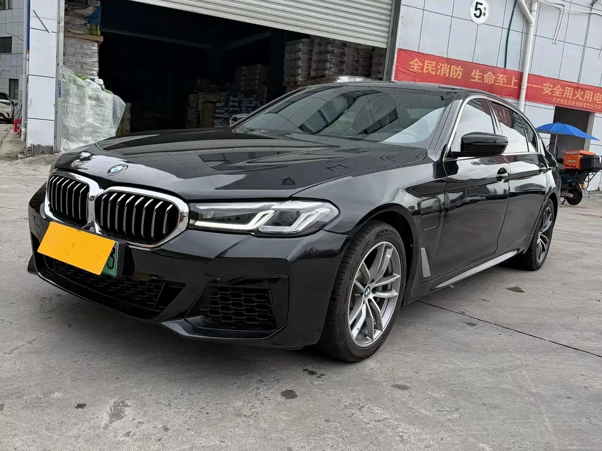 BMW 5 SERIES NEW ENERGY  2021