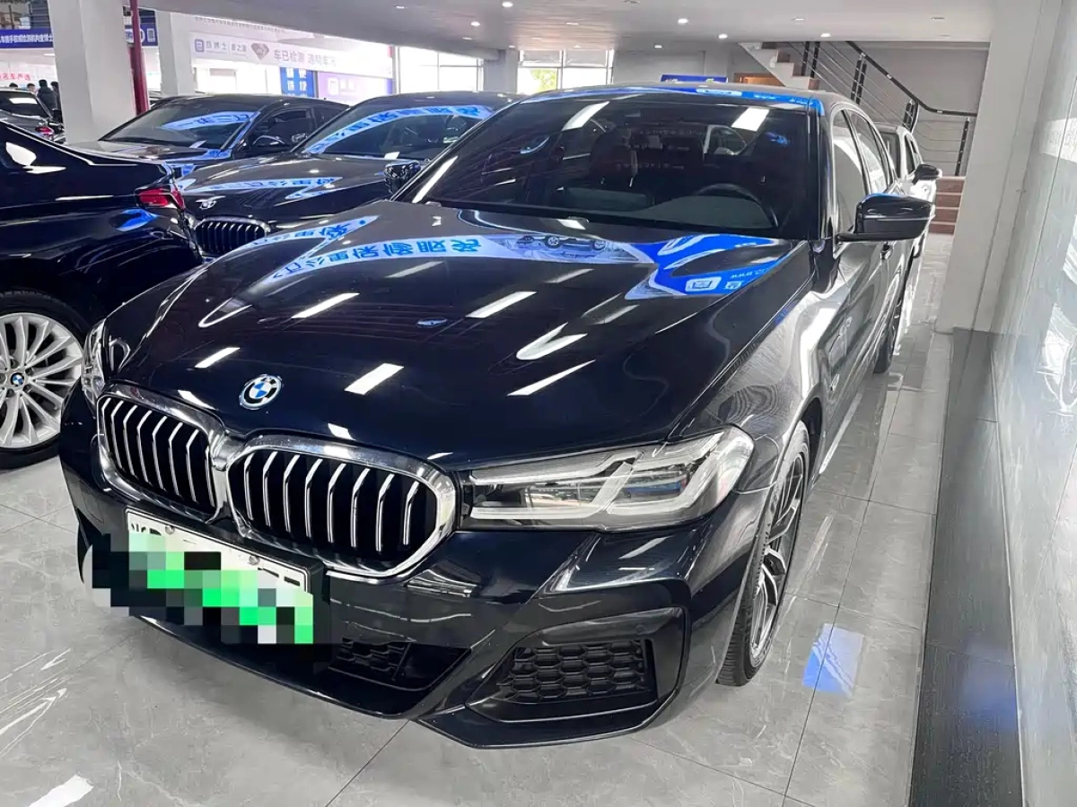 BMW 5 SERIES NEW ENERGY  2021