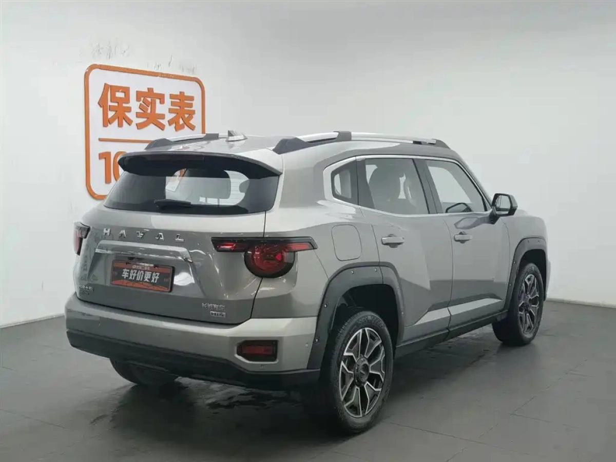 HAVAL DAGOU II NEW ENERGY