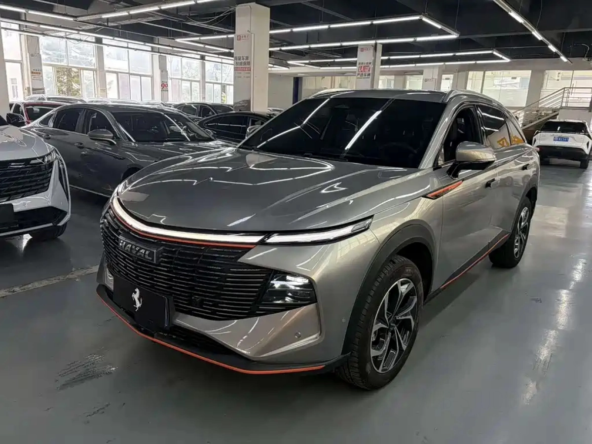 HAVAL SHENSHOU  2022