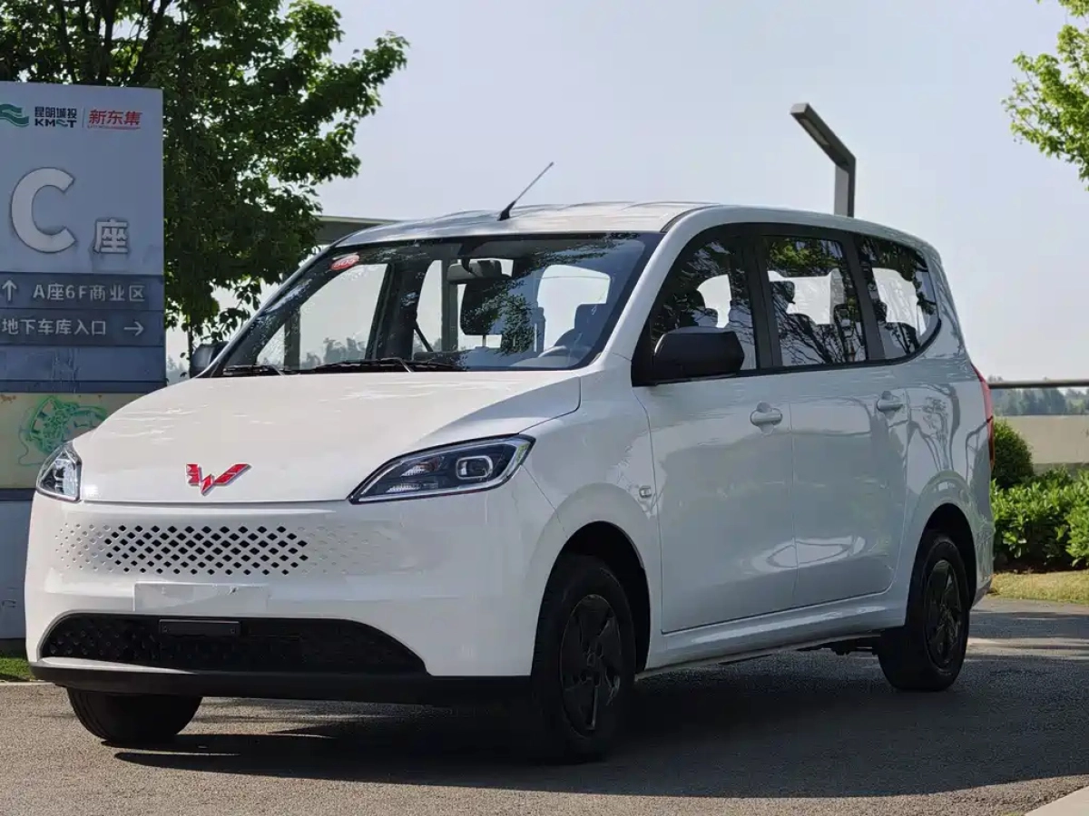 WULING HONGGUANG NEW ENERGY  2026