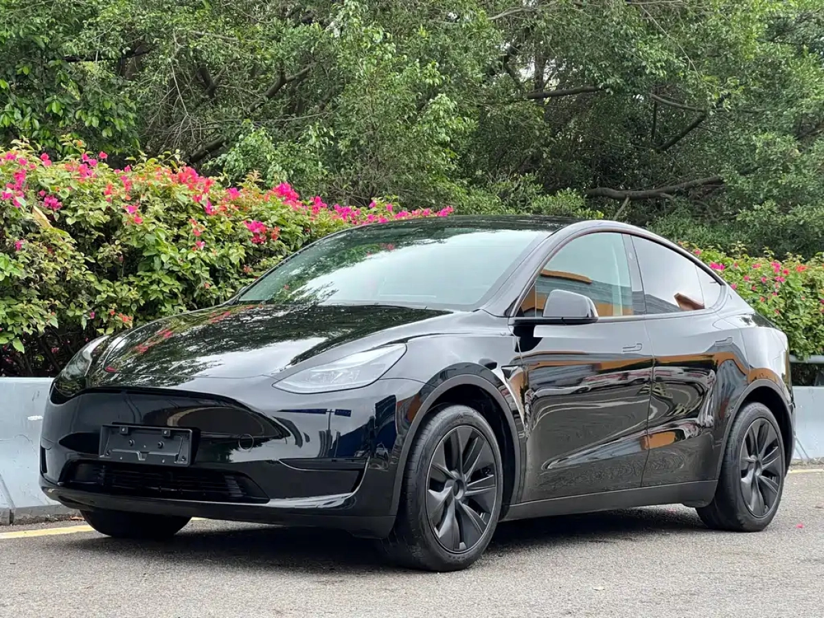 TESLA MODEL Y  2024