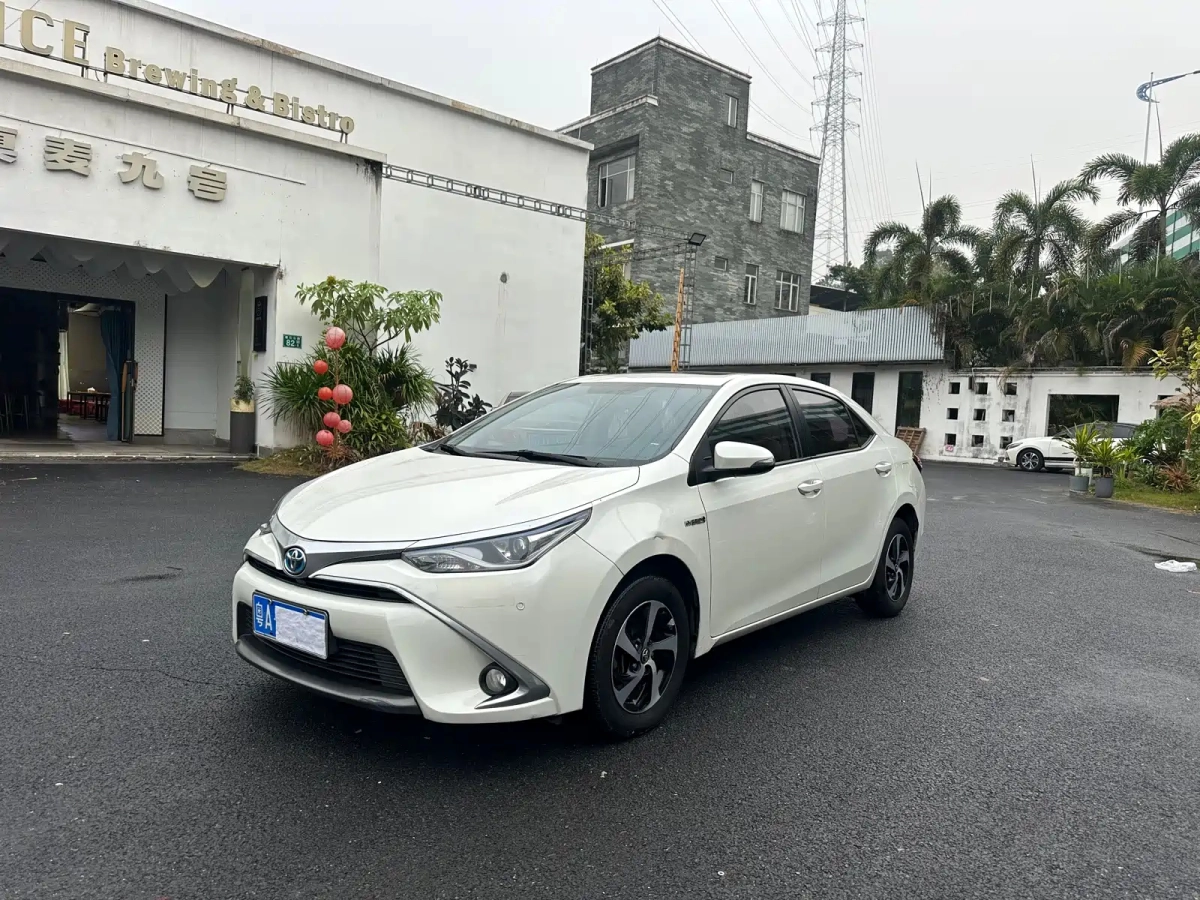 TOYOTA LEVIN  2019