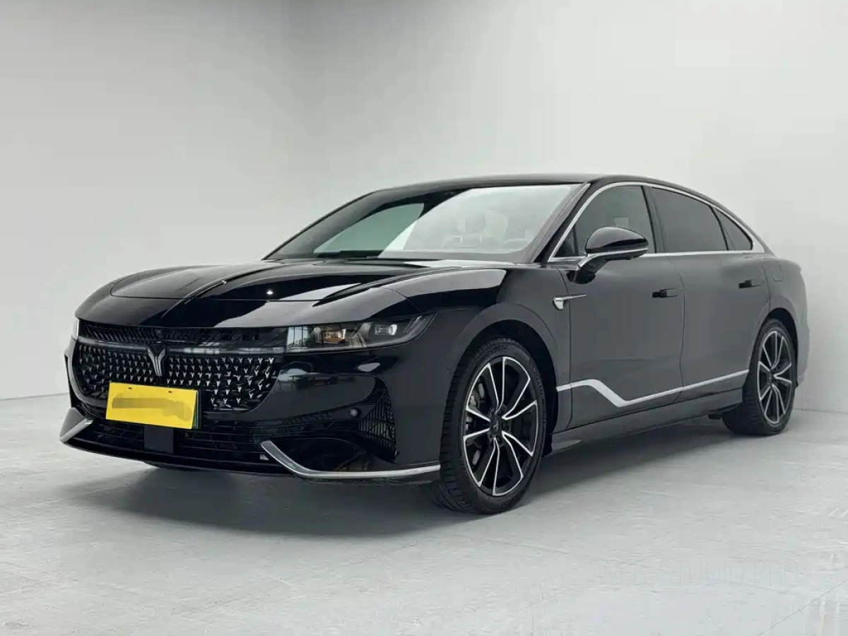 VOYAH ZHUIGUANG  2024