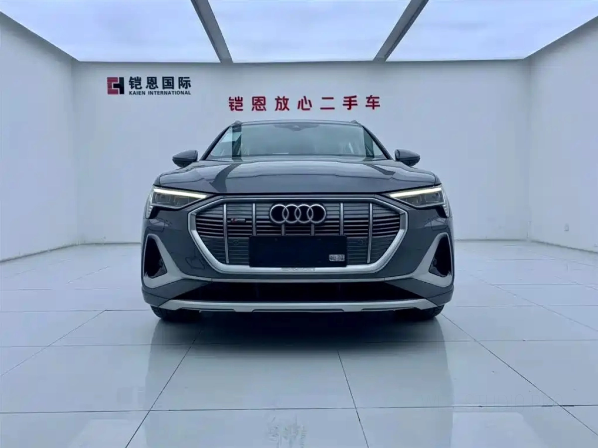 AUDI E-TRON