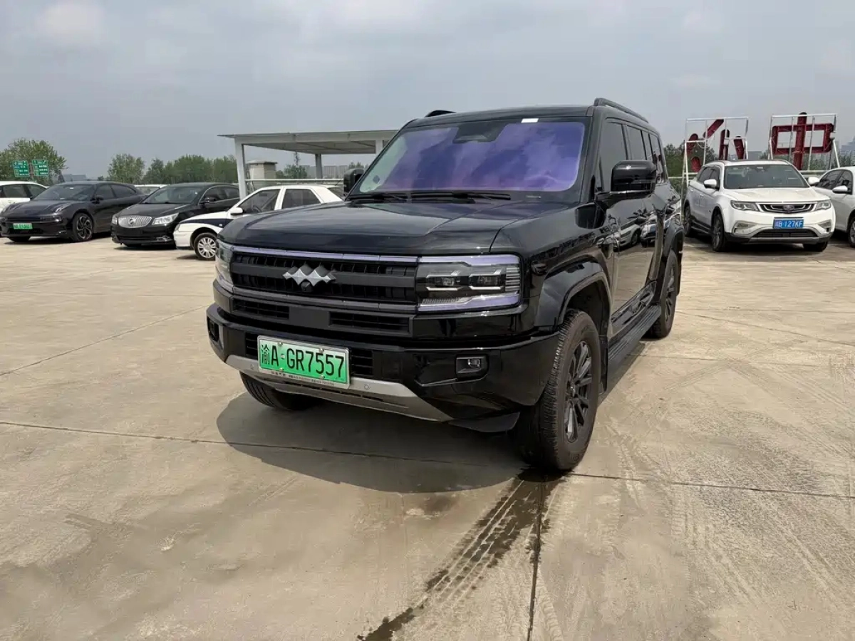 BYD FANGCHENG BAO 5  2025