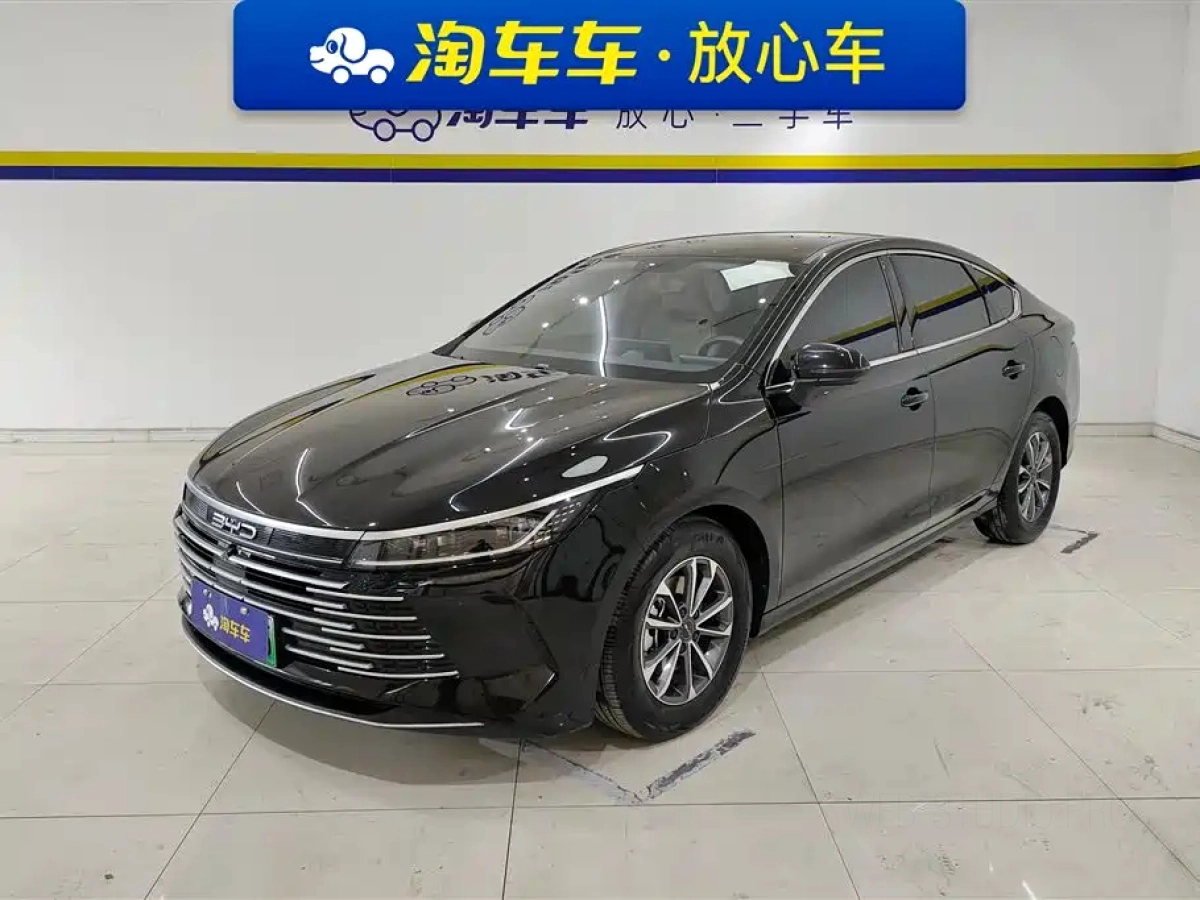 BYD DESTROYER 05  2024