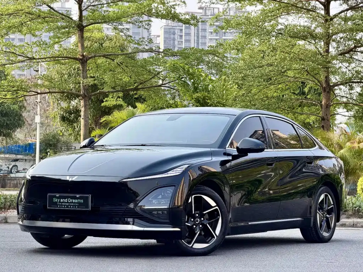 WULING XINGGUANG  2024