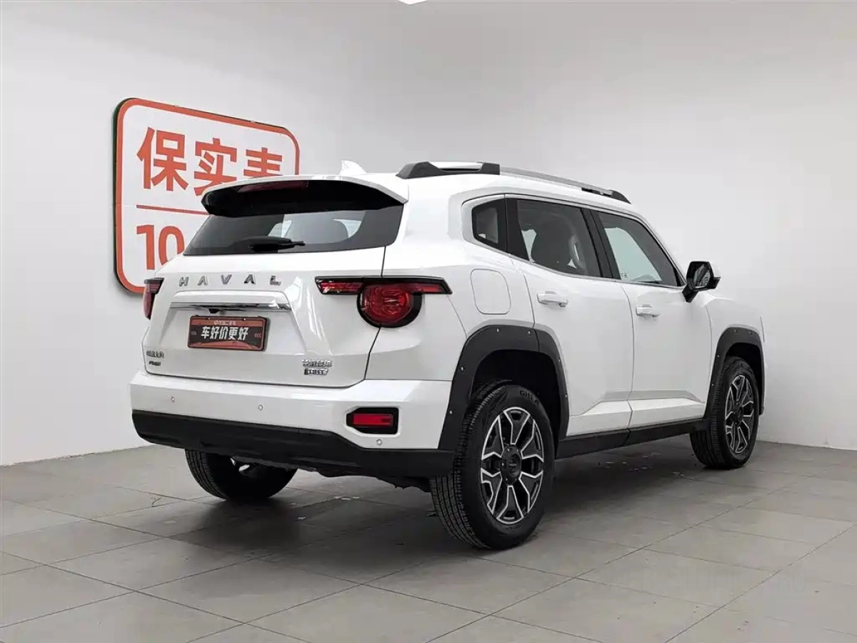 HAVAL DAGOU II NEW ENERGY