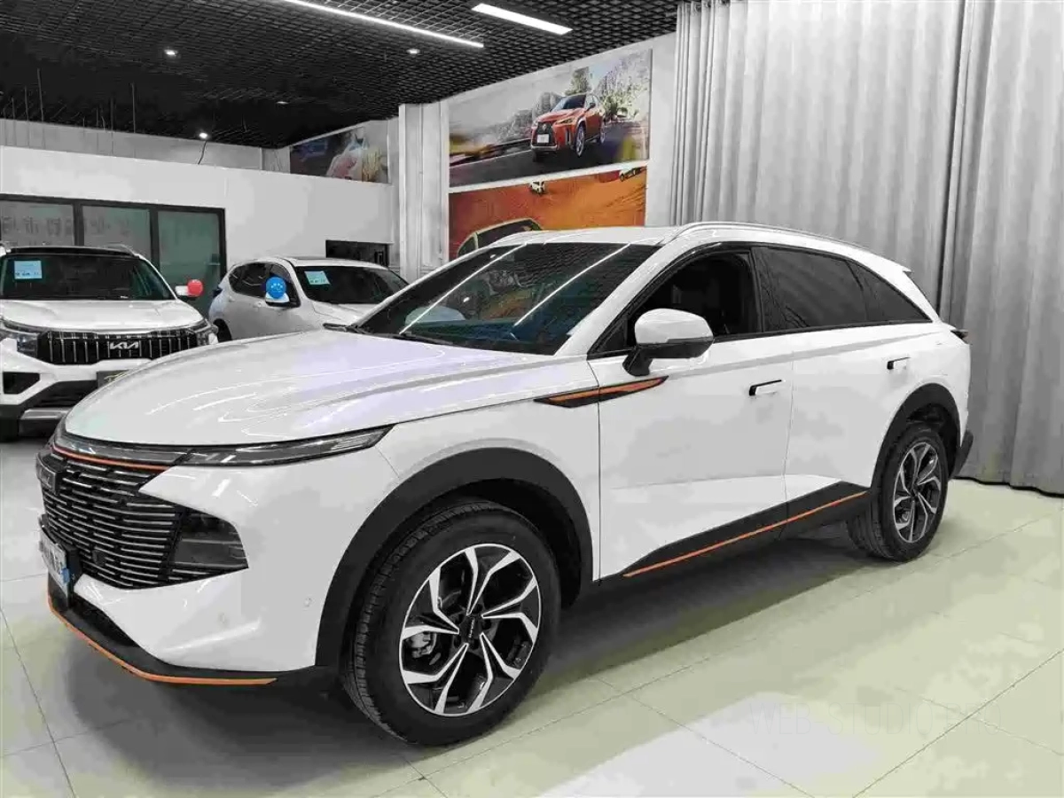 HAVAL SHENSHOU  2022