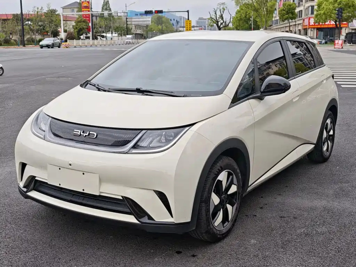 BYD DOLPHIN  2024