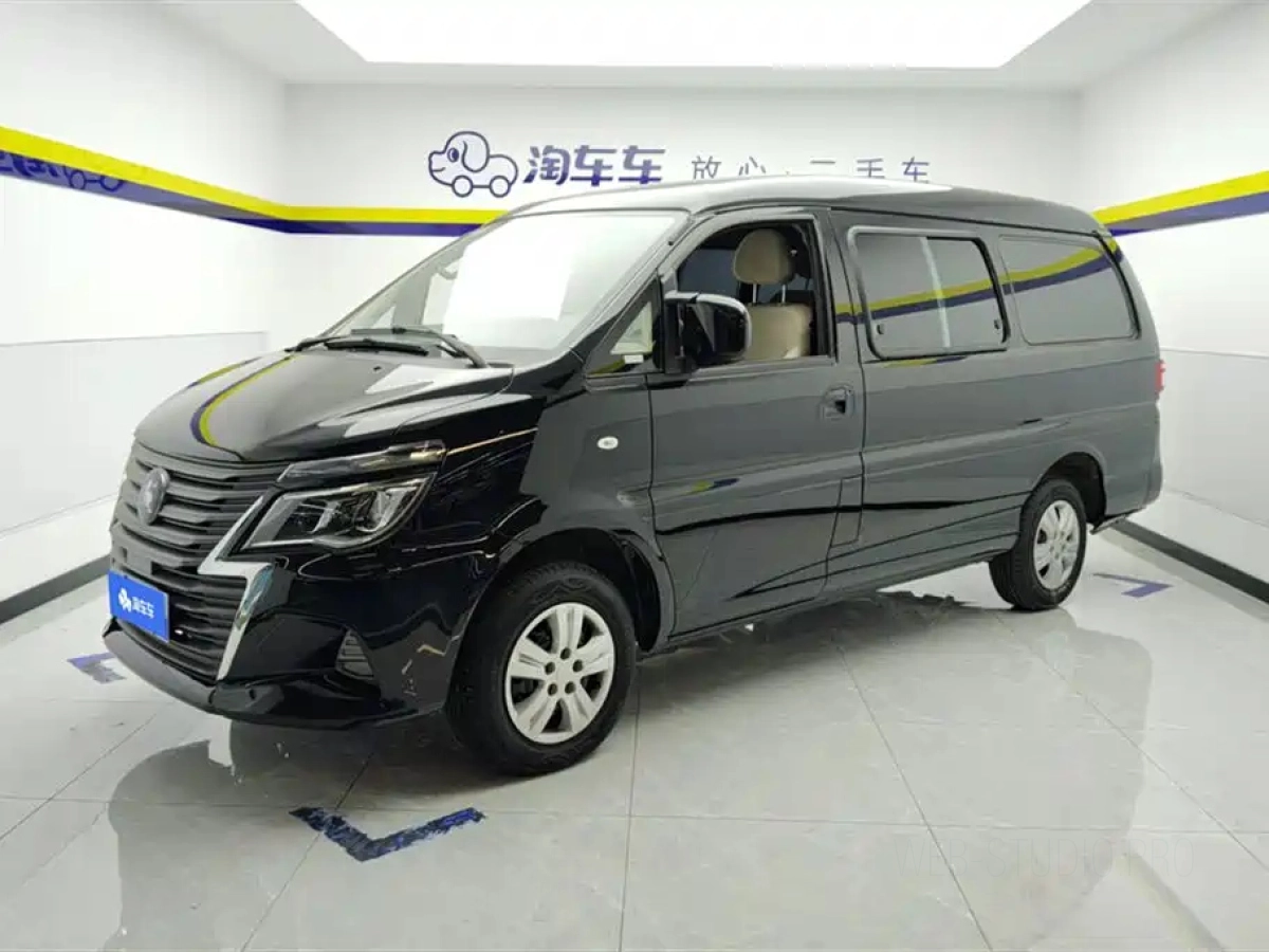 DONGFENG LINGZHI  2024