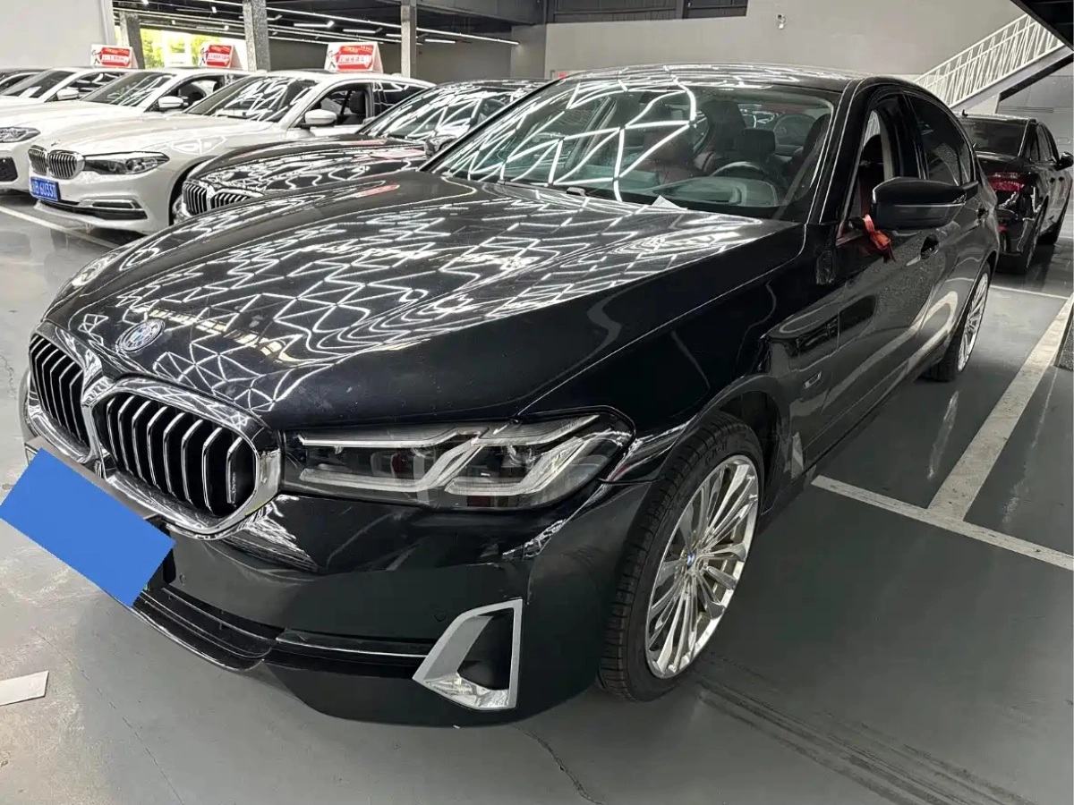 BMW 5 SERIES NEW ENERGY  2021