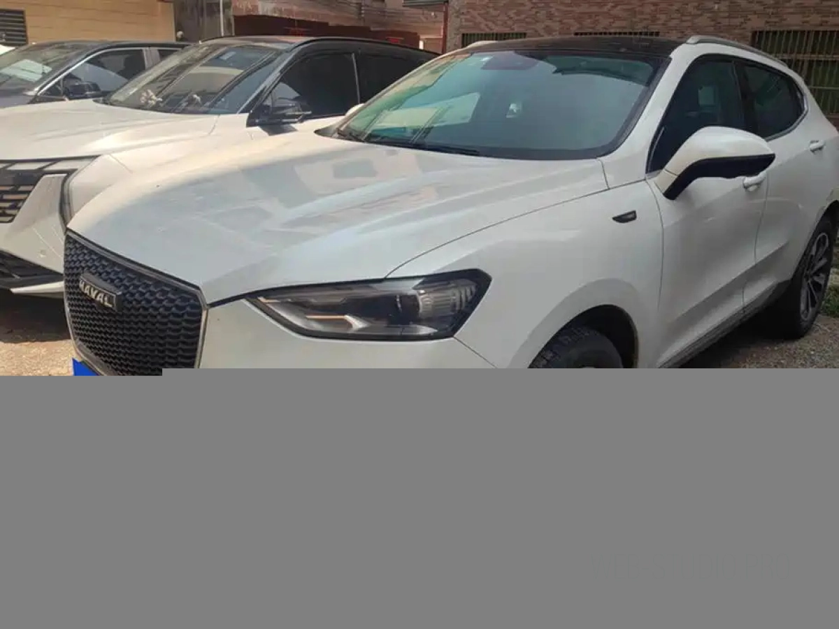 HAVAL F5  2019