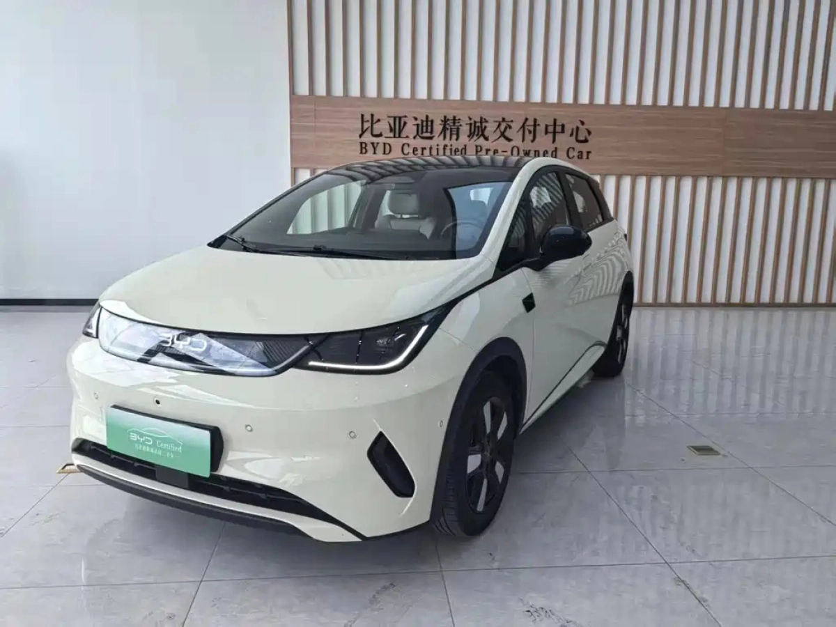 BYD DOLPHIN  2025