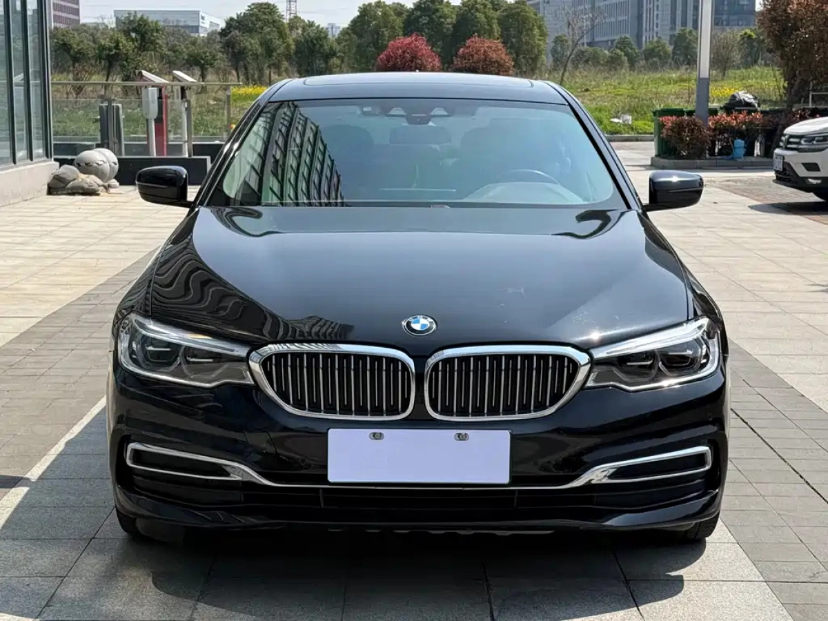 BMW 5 SERIES NEW ENERGY  2020