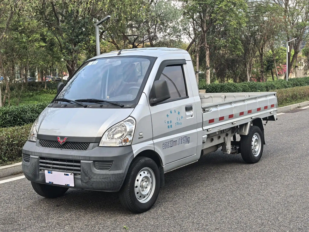 WULING RONGGUANG MINI TRUCK