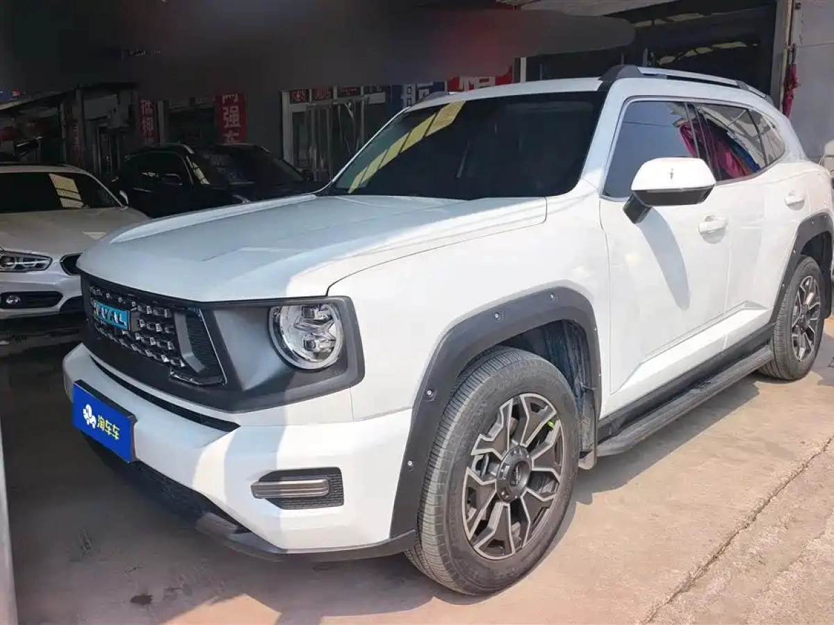 HAVAL DAGOU II NEW ENERGY  2023
