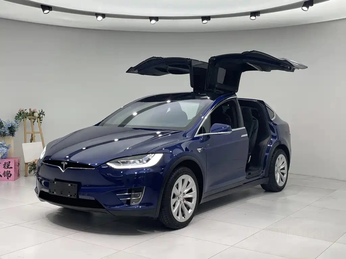 TESLA MODEL X