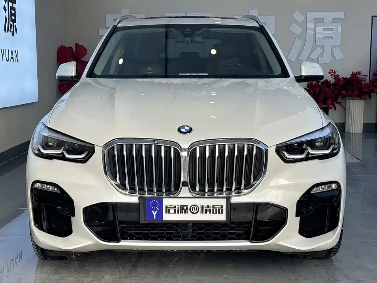 BMW X5 NEW ENERGY IMPORT